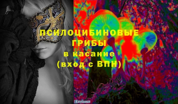 прущие грибы Абинск