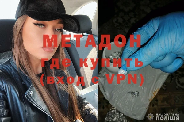 прущие грибы Абинск