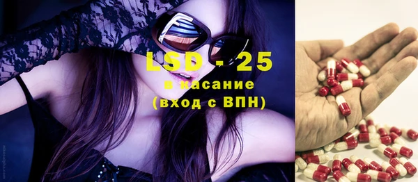 прущие грибы Абинск
