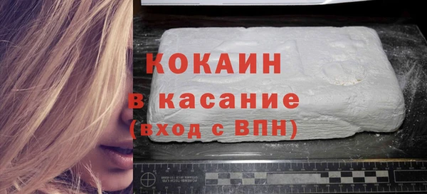 прущие грибы Абинск